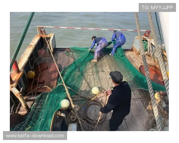 K8捕鱼网最新攻略大全助你轻松捕获高额奖励实现捕鱼梦想