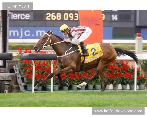 凯发体育手机版下载带你轻松体验最新体育赛事直播与精彩赛事回放 凯发体育手机版下载带你轻松体验最新体育赛事直播与精彩赛事回放