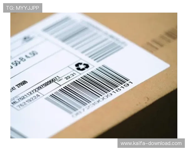 全面解析k8凯发官网登录的注册流程与账号安全保障措施